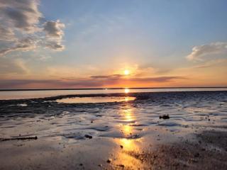 Wohnung in St Peter Ording - 7