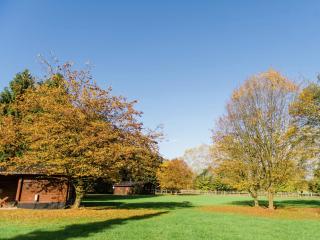 Ferienhaus mit Terrasse - 5