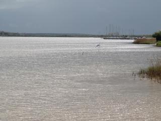 Gemütlicher Aufenthalt am Wieker Hafen - 5