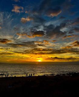 Oceanview Penthouse with Private Lanai - 1