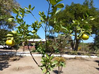 Campement et Centre artistique TILYBOO - 6