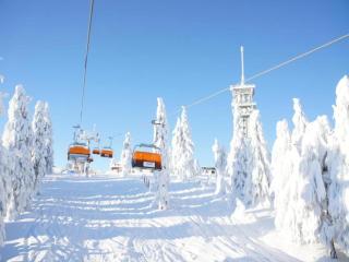 Jáchymov Ski & City Stay - 8