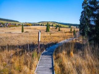 Jáchymov Ski & City Stay - 1