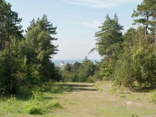 Apartment in Bergen aan Zee near Beach - 1