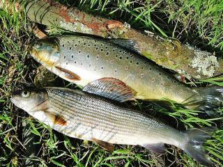 Holiday Home by Lake Rosnowskie with Boat - 6