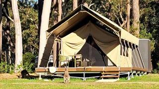 Bay and Bush Jervis Bay - Nature Retreat - 9