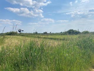 Chalet in Nature, Friesland - 4