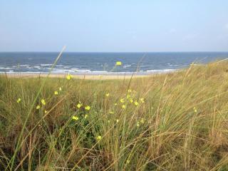 Apartment in Bergen near the Beach - 8