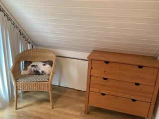 Attractive holiday home near beach - 2