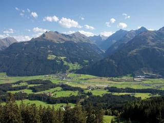 Holiday home in Hollersbach im Pinzgau - 2