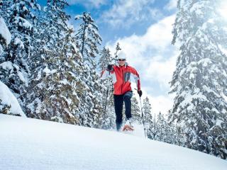 Apartment in Hollersbach with terrace - 7