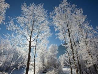 Apartment in Hollersbach with terrace - 6