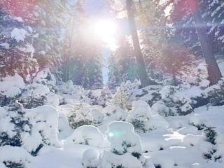 Apartment in Kaltenbach near Ski Lifts - 8