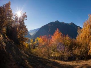 Apartment in Kaltenbach near Ski Lifts - 5