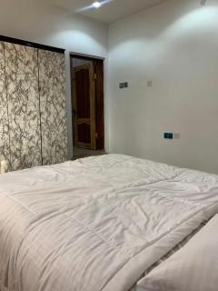 Royal palm Ijapo - 6