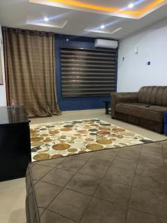 Royal palm Ijapo - 5