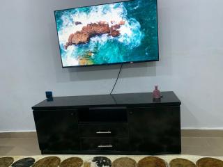 Royal palm Ijapo - 4