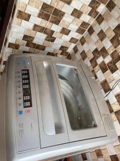 Royal palm Ijapo - 2