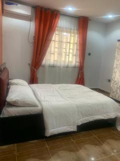 Royal palm Ijapo - 1