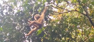 Ratanakiri Farmhouse & Trekking - 6