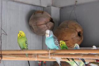 บ้านกลางสวนผึ้ง - 2