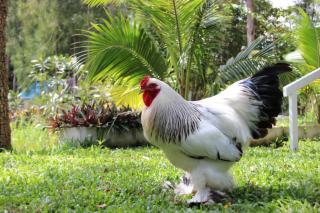 บ้านกลางสวนผึ้ง - 1