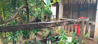 Ratanakiri Farmhouse & Trekking - 5