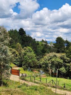 Cabaña en Medio del Bosque con Jacuzzi - Santa Elena - 5