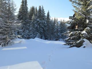 Studio rénové à Courchevel 1850, skis aux pieds, 4 pers, parking inclus - FR-1-575-247 - 4