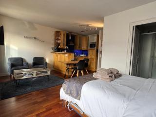 Grand Studio avec balcon, fibre internet - FR-1-555-121 - 2