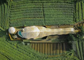 manta family sidemen - 7