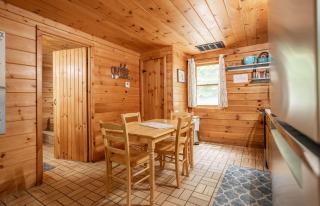 Table Rock Lake Cabin - Lake-Pool-Hot Tub - 1