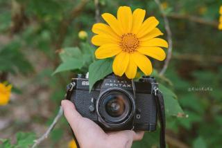 Hà Thành Villa - 5