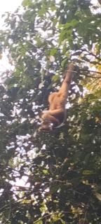 Ratanakiri Farmhouse & Trekking - 8