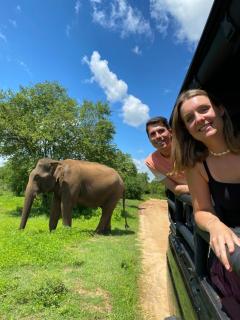 The elephant house - 0