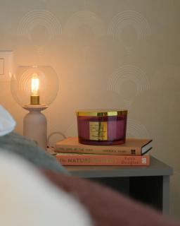 Tropics 1BR Cozy Modern Entire Apartment NuscoCity fast wifi and balcony - 7