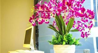 City Comfort Inn Wuzhou Bus Station - 6