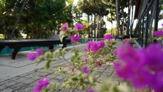 CINEC Eco Resort - 9