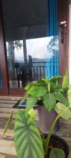 Ella Hillsite View - 9