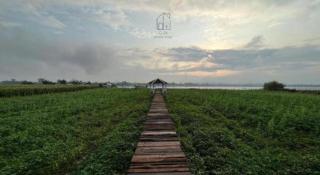 Gin's Greenery Resort - 6