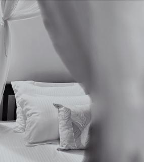 Calm Aruna Boutique Lodge - Mirissa - 7