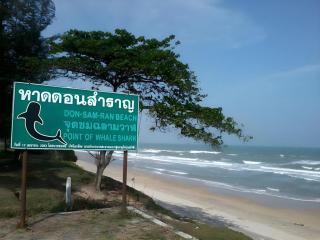 Greenseaview Resort - 5