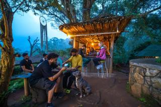 Hostyard Plantation Hostel - 3