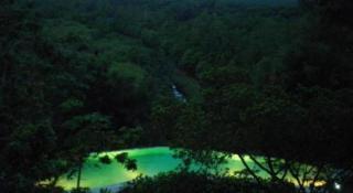 Mangrove Escapes Resort - 9