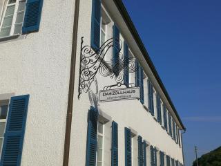 1 Z Wohnung - 30 Min nach Zürich Schweiz - 4