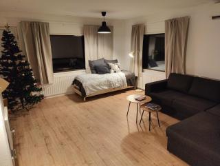 Arctic Aurora Villa with a Lappish Grill Hut - Northern Lights and Private Sledding Hill in the Backyard, in the Hometown of Santa Claus, Rovaniemi - 7