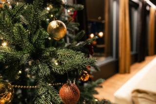 NEW luxury villa by the river - 5