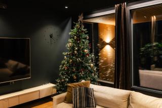 NEW luxury villa by the river - 2