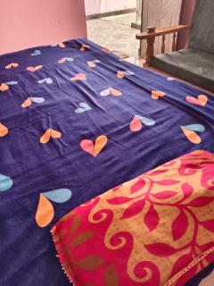 vijay singh rural homestay - 0