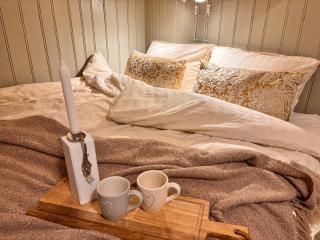 1850 Old Farmhouse Retreat with jacuzzi and sauna - 2